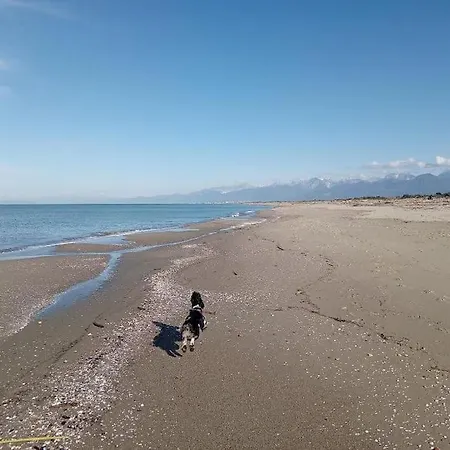 Tranquilla Casina Nel Parco